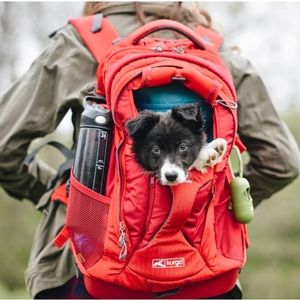 Kurgo G-Train Dog Carrier Backpack in Red